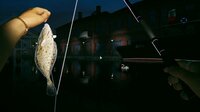 Ultimate Fishing Simulator 2 screenshot, image №3534627 - RAWG