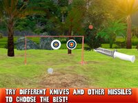 Knife Throwing Master 3D screenshot, image №908222 - RAWG