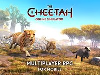 The Cheetah: Online RPG Simulator screenshot, image №2043572 - RAWG