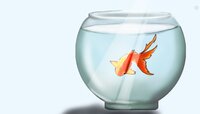 Golden Fish screenshot, image №3530580 - RAWG