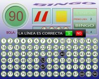 Bingo en Casa screenshot, image №3713108 - RAWG