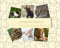 Ultimate Puzzles Collection screenshot, image №2951513 - RAWG