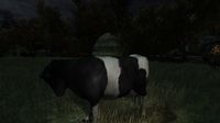 The Cows Are Watching screenshot, image №138921 - RAWG