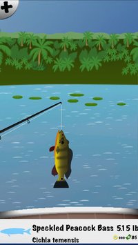 Summer Fishing screenshot, image №1657303 - RAWG