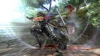 Ninja Gaiden II screenshot, image №514279 - RAWG