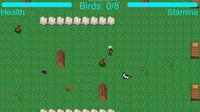 Bird Catcher screenshot, image №3227461 - RAWG