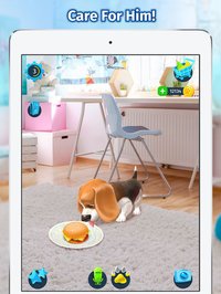 Tamadog screenshot, image №1715944 - RAWG