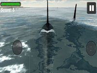 Orca Whale Simulator screenshot, image №935759 - RAWG