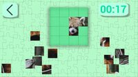 Ultimate Puzzles Animals 5 screenshot, image №2964998 - RAWG
