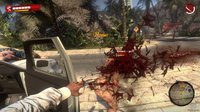 Dead Island screenshot, image №432013 - RAWG