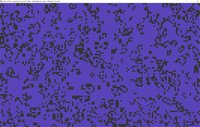 Remake "Game of Life" (John Conway) - Shachoca screenshot, image №1997820 - RAWG
