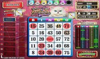 Glamour Puss Bingo FREE screenshot, image №1395472 - RAWG