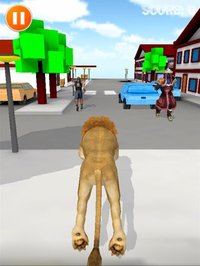 3D Goat Rampage - Zoo Animal Wild Safari screenshot, image №1881747 - RAWG