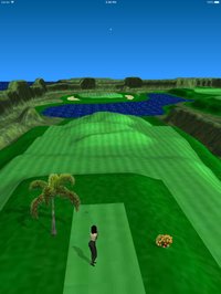 Par 3 Golf screenshot, image №949181 - RAWG