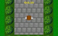 Jungle Maze (RizingGamesUK) screenshot, image №1785099 - RAWG