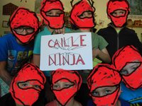 CailleNinja 4.0 screenshot, image №1278563 - RAWG