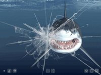 Talking Great White HD - for iPad screenshot, image №968006 - RAWG