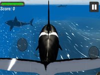 Orca Whale Simulator screenshot, image №935757 - RAWG