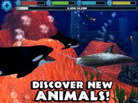 Orca Simulator screenshot, image №957831 - RAWG