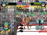 Wrestling Cage Revolution Game screenshot, image №908860 - RAWG