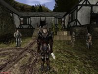 Gothic II: Gold Edition screenshot, image №80606 - RAWG