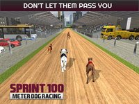 Sprint 100 Meter Dog Racing: Race Dogs On Tracks screenshot, image №1780160 - RAWG