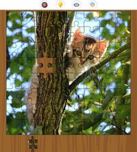 Jigsaw Galaxy: Cats Edition screenshot, image №3801581 - RAWG