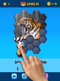 Hexa Jigsaw Puzzle screenshot, image №2207532 - RAWG