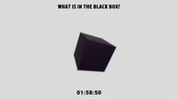 What is in the Black Box? screenshot, image №4136991 - RAWG