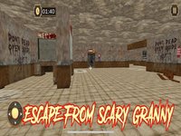 Scary Neighbor Granny House 3D screenshot, image №1992594 - RAWG