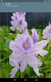 Jigsaw Puzzle: Flowers screenshot, image №1497481 - RAWG