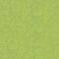 Jose Game adventure screenshot, image №3393518 - RAWG