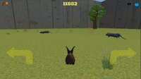RunRabbit screenshot, image №2159006 - RAWG