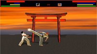 KARATE - Way Of The Fist screenshot, image №2286431 - RAWG