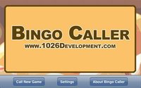 Bingo Caller screenshot, image №949348 - RAWG