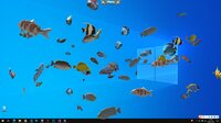 Fish on the desktop screenshot, image №3917640 - RAWG