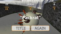 Snowman Builder Extreme screenshot, image №1172600 - RAWG