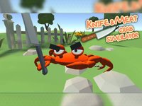 Knife & Meat: Crab Simulator screenshot, image №1882461 - RAWG