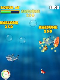 Dash Shark in Hungry Fish Tank screenshot, image №1866049 - RAWG