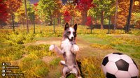 Animal Shelter 2 screenshot, image №4234325 - RAWG