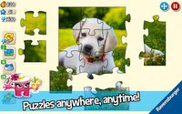 Puzzle Adventures screenshot, image №1440294 - RAWG