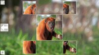 Puzzle Art: Primates screenshot, image №3076694 - RAWG