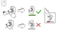 Fish Therapy screenshot, image №2719915 - RAWG