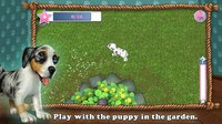 Summer Fun with DogWorld Premium screenshot, image №1522854 - RAWG