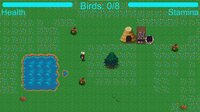 Bird Catcher screenshot, image №3227462 - RAWG