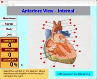 Label That Diagram - Human Heart - PreMed screenshot, image №3789374 - RAWG