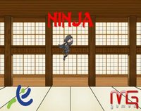 Ninja (itch) (MG Games) screenshot, image №1295645 - RAWG