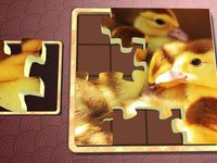Jigsaw Solitaire Baby Animals screenshot, image №1330760 - RAWG