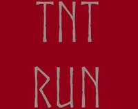 A Crap Game: TnT RuN screenshot, image №3411000 - RAWG