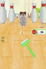 Petz Hamsterz Family screenshot, image №255379 - RAWG